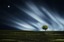 Arbre-ciel-lune